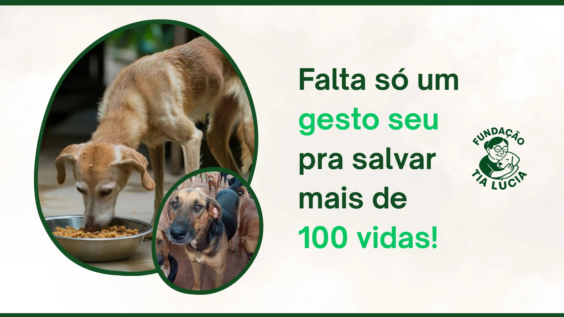 Banner Fundação da Tia Lúcia